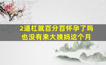 2道杠就百分百怀孕了吗 也没有来大姨妈这个月